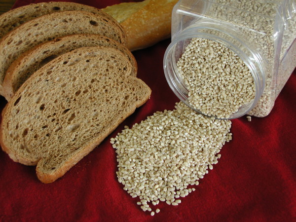 whole-grain
