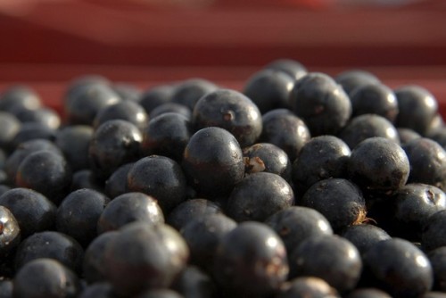 Acai Berries