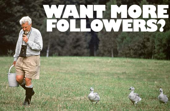 want-more-followers