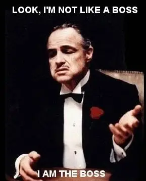Look-im-not-like-a-boss-I-am-the-boss