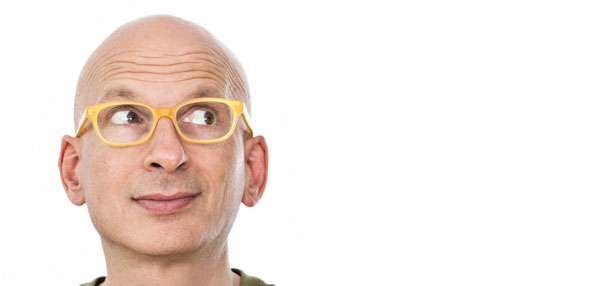 sethgodin2011