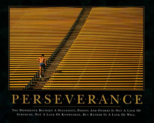perseverance-leadership