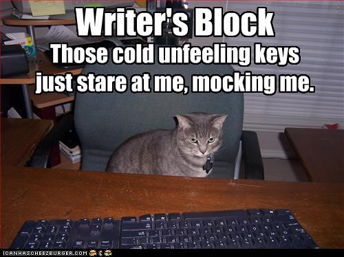 funny-pictures-cat-has-writers-block