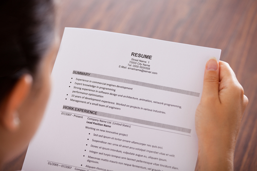 How to Use a Business Plan Template as a Resume Writing Tactic  Under30CEO