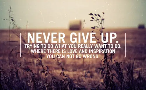 beautiful-never-never-give-up-quote-summer-Favim.com-311252